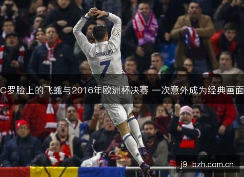 C罗脸上的飞蛾与2016年欧洲杯决赛 一次意外成为经典画面 C罗脸上的飞蛾与2016年欧洲杯决赛 一次意外成为经典画面